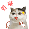 漂亮美女祝福問候語圖片2