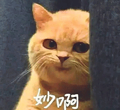 我也去的表情13