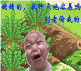 豬年除夕夜祝福表情12