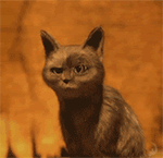 當已婚婦女看帥哥的表情7