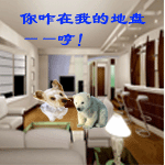 沙雕熊貓表情包繪畫6