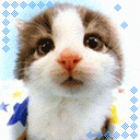 害怕的圖片表情包搞怪4