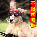 qq表情包賤萌10