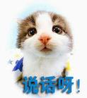 動漫中的視頻表情5