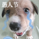 大雄日歷表白圖10