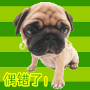 戚薇惡搞表情包6