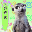 動畫視頻表情8