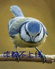 摩羯男對你調(diào)皮的表情7