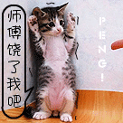 動畫視頻表情10