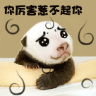 夢幻西游人物頭像表情8