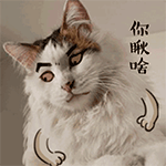 網(wǎng)吧表情包2