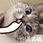 撩人表情圖片大全1