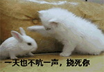 含有暴走的賣萌表情1