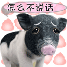 夢幻西游人物頭像表情3