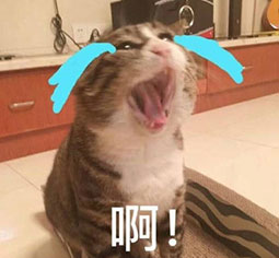 杜甫畫像惡搞表情包9