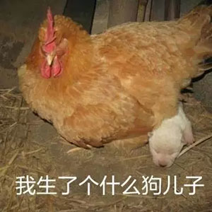 賣車惡搞表情包8