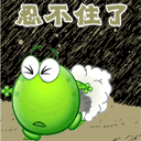 喜怒哀樂動物表情5