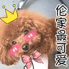 美女你干嘛呢表情包7