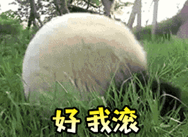 領總經理紅包祝福語表情10