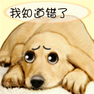 祝福大家牛年牛氣沖天表情6