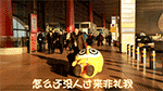 豬年除夕夜祝福表情4
