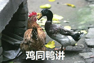 沙雕狂歡動態(tài)表情包12 沙雕狂歡動態(tài)表情包12