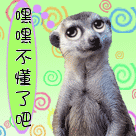 動態吐血倒地表情包搞笑圖片12