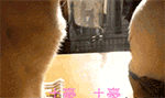 老年新婚祝福動畫表情6