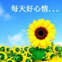 搞怪室友表情2