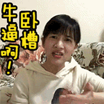 逗比搞笑動物頭像表情包7