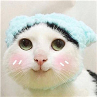 帶有王者的網名1