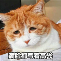 學不會頭像5