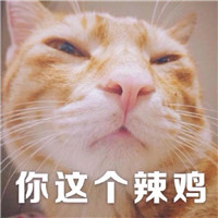 12星座的扣扣頭像5