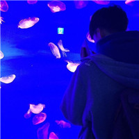 光遇頭像雙人可愛6