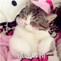 qq女生清純頭像14