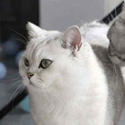 頭像男背景傷感帶字圖片大全7