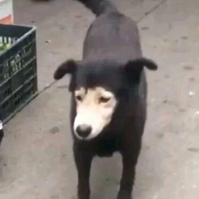 酷酷的女生動漫頭像霸氣黑色8