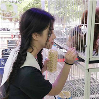 扣扣頭像女白襯衫與貓8