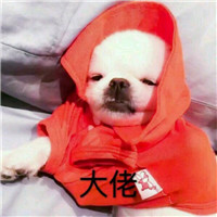 黑白頭像姐妹一左一右8