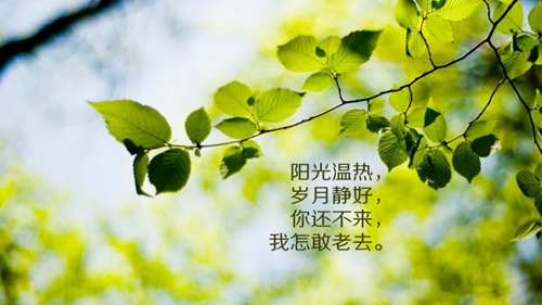 25句生日的慰問短信