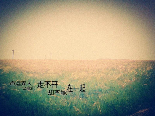 限購后達(dá)州房價降多少？