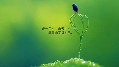 文山房價最新價格是多少錢一平？