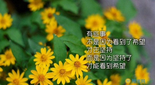 往后云南文山的房子還能升值嗎？
