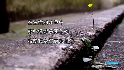 雞年的男寶寶名字大全