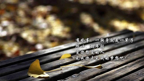 蛋類商品起名怎么起好一點