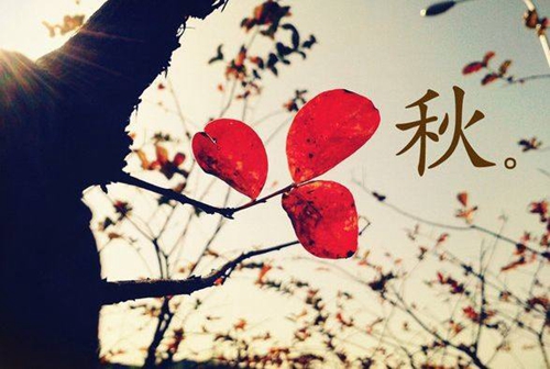 走在長街中歌曲