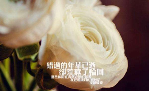 木業(yè)公司起名字寓意好的字