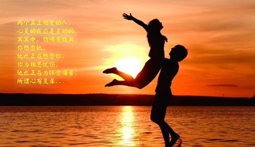 搞笑的8字情話大全