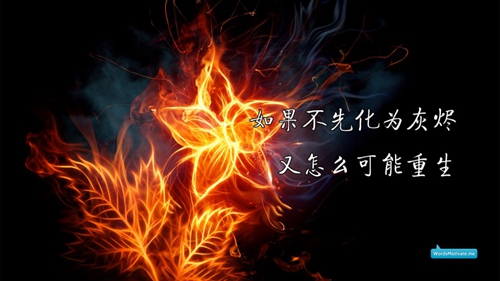 世間的愛情很緊湊是什么歌